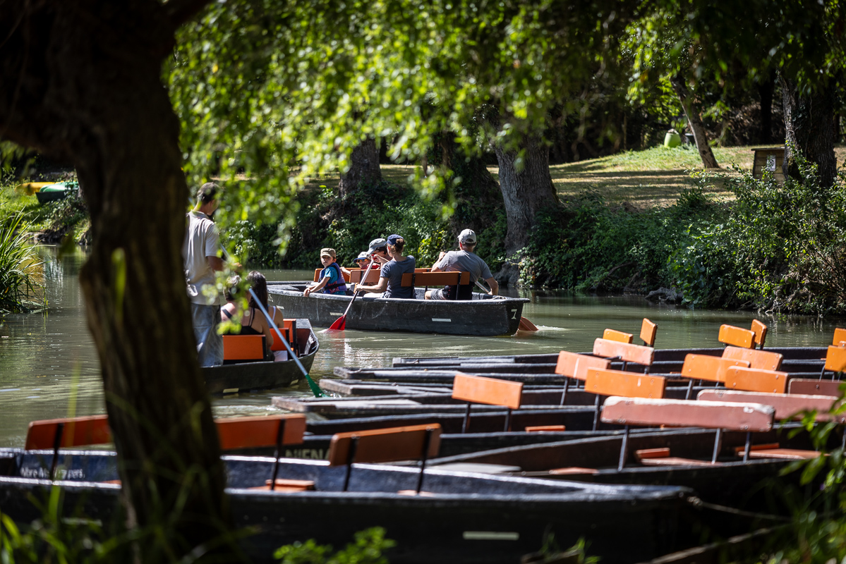 Embarcadère Cardinaud - photo 4