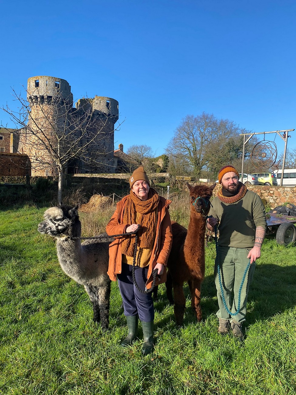 La Petite Ferme d'Alpagas Sanzay, Argentonnay - photo 14