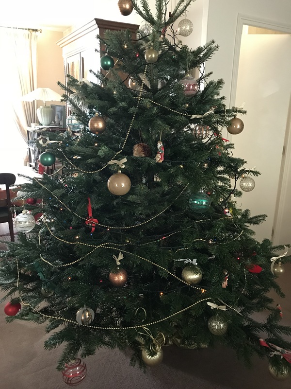 Les Fugues de Tosca, Pineuilh