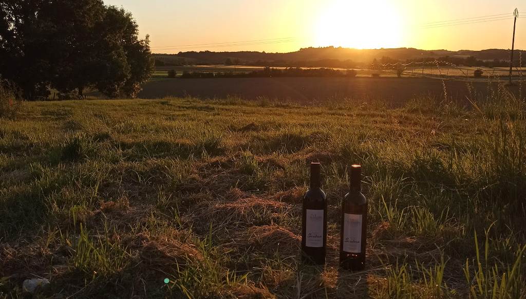 Domaine de Sauban - photo 2