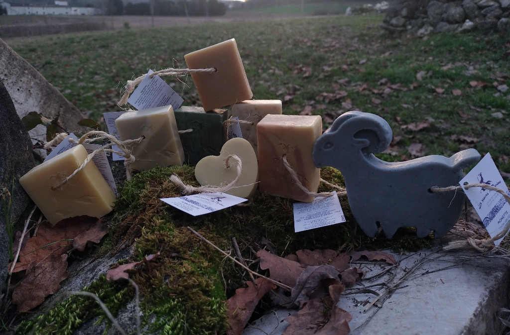 La Ferme du bois de la Moulière