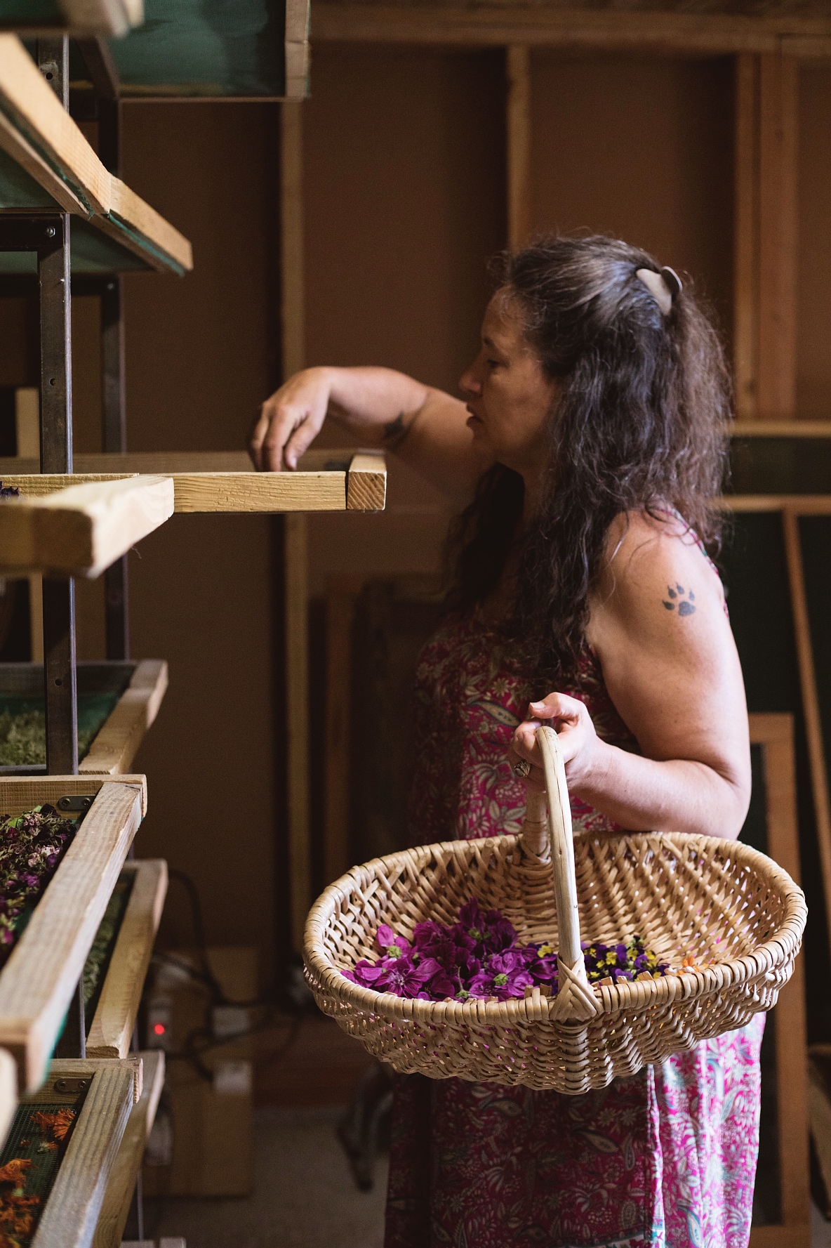 Les Simples Sauvages - photo 2