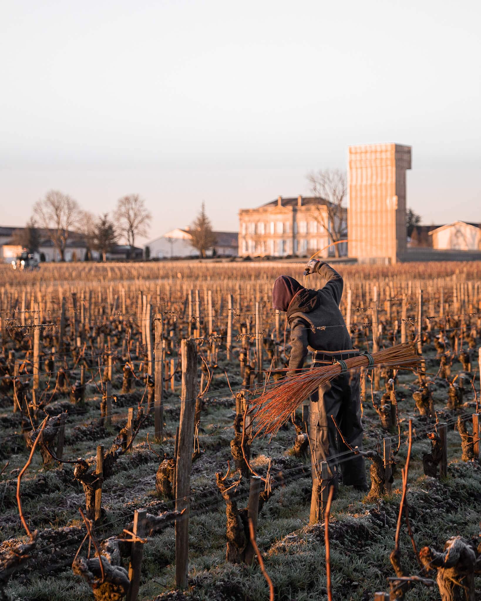 Secrets d'un terroir au Château Gruaud Larose