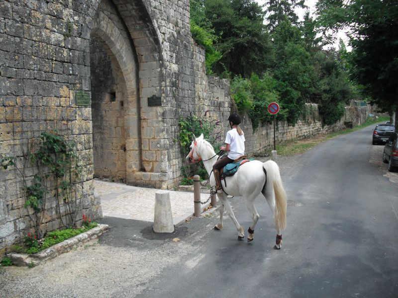 Centre Equestre du Pays Beaumontois - photo 2