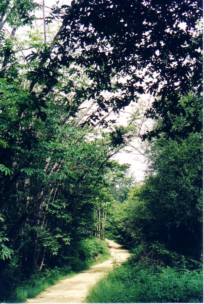 Terra Aventura : l'épée de Zigomatix