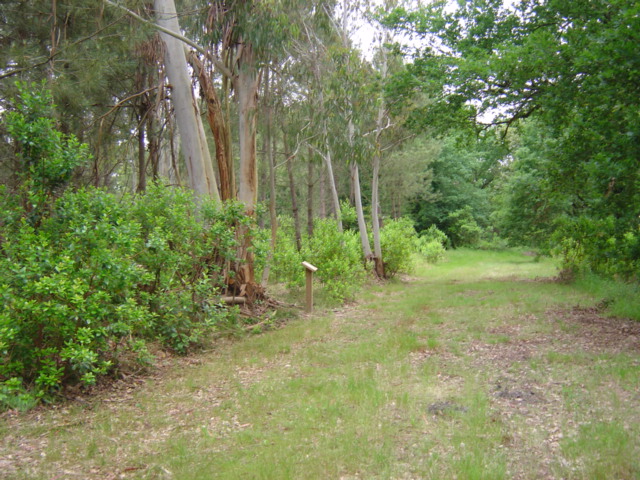 Terra Aventura : Le Petit Bois de l'Opéra