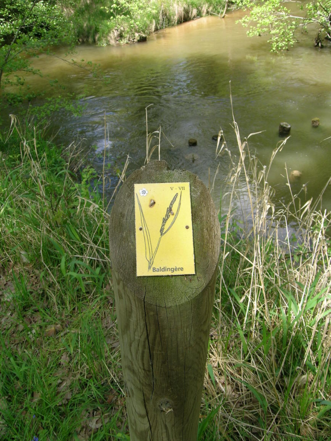 Sentier botanique, Villenave