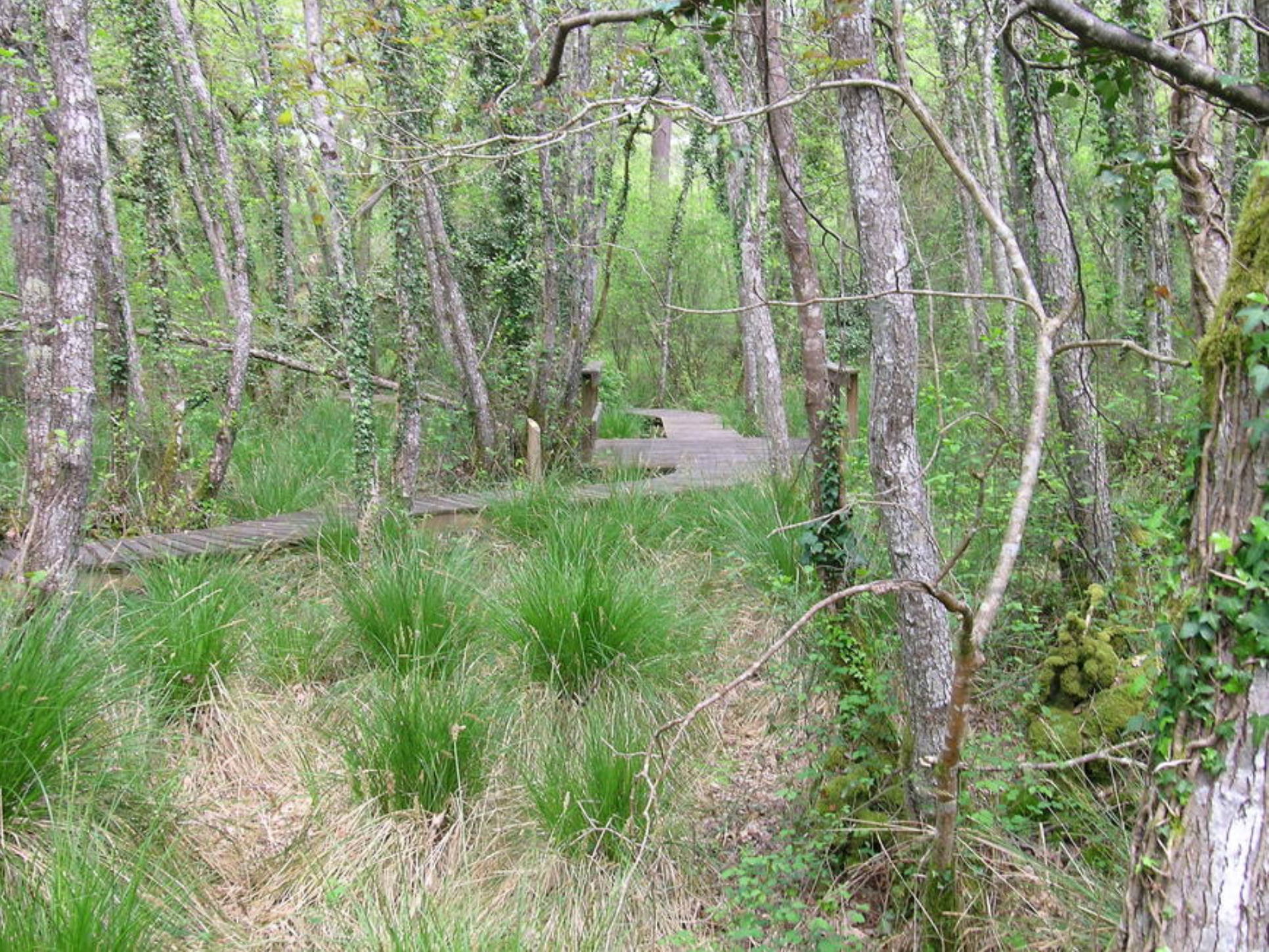 Sentier botanique, Villenave - photo 2