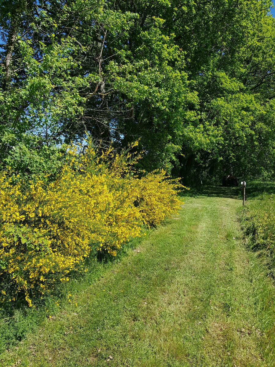 Le sentier des abeilles - photo 4