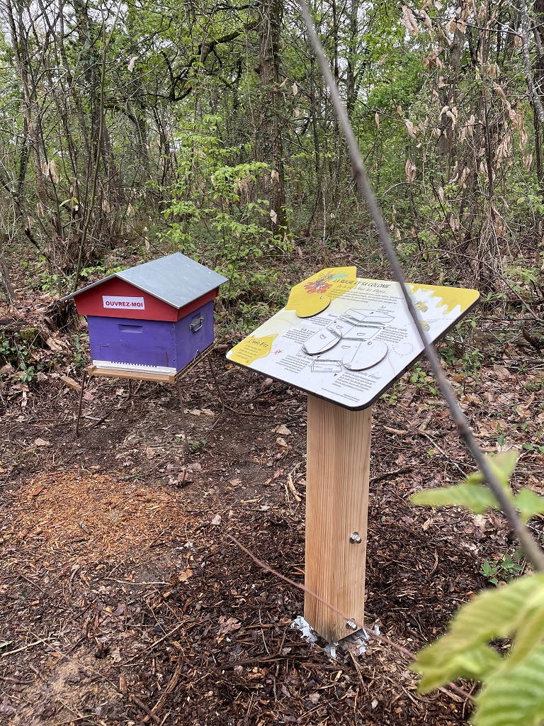 Le sentier des abeilles