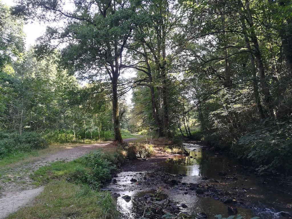 Sentier des Biards — photo 2