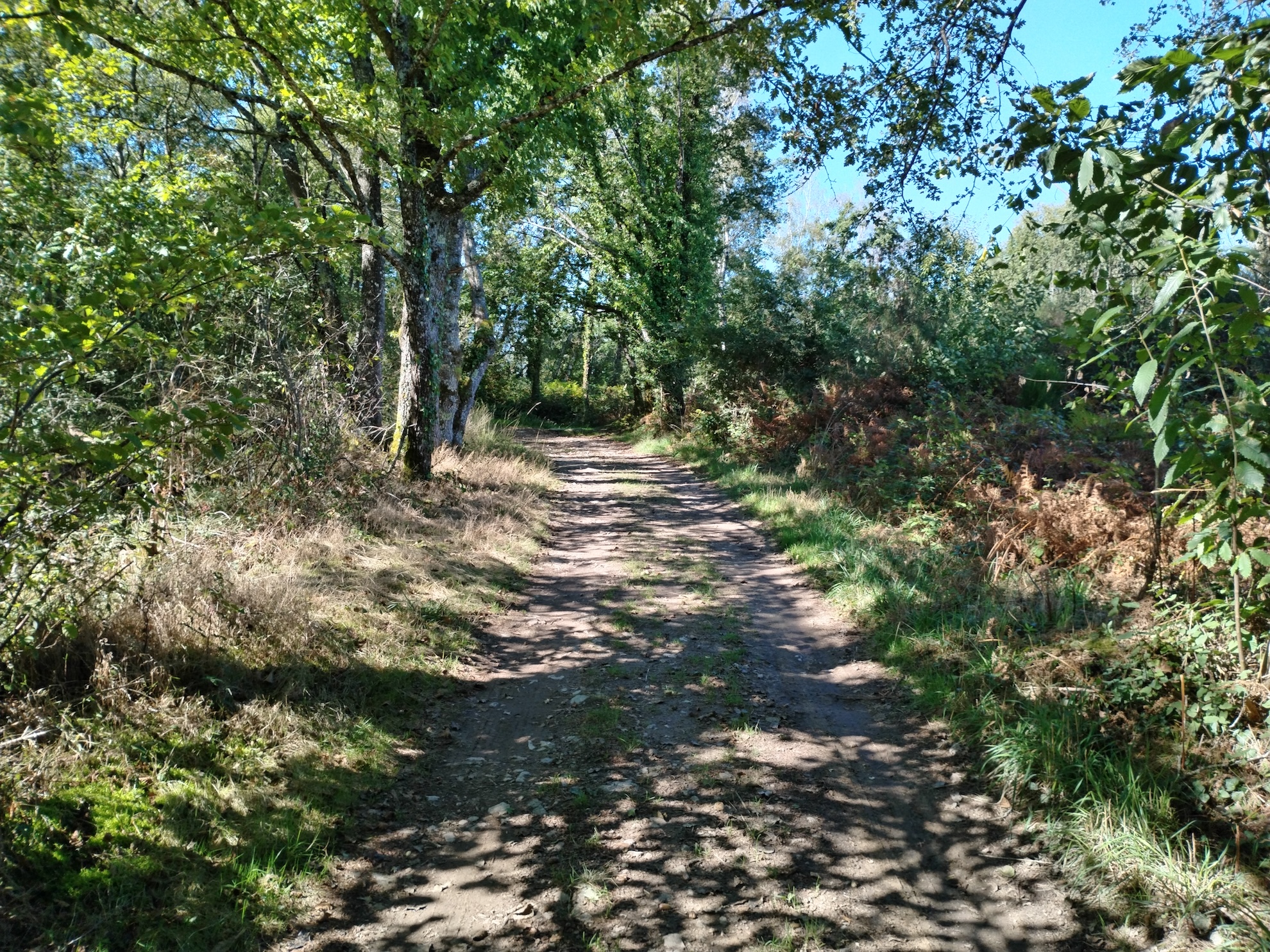 Au fil de l'eau, Les Cars - photo 2