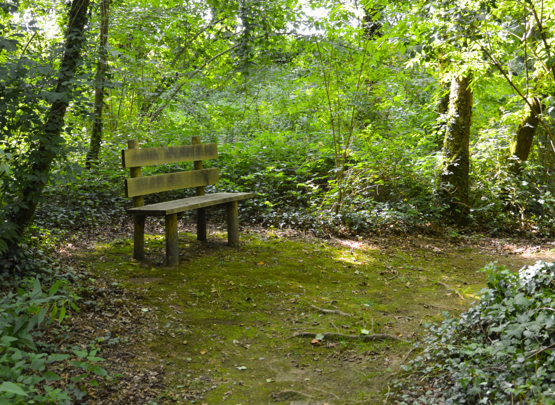 Sentier Musical, Pageas - photo 6