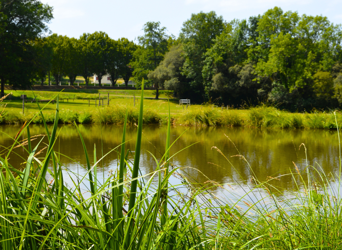 Sentier Musical, Pageas