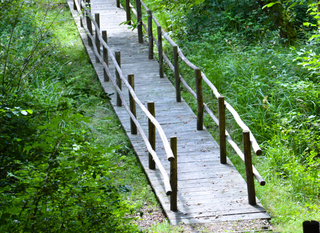 Sentier Musical, Pageas - photo 4