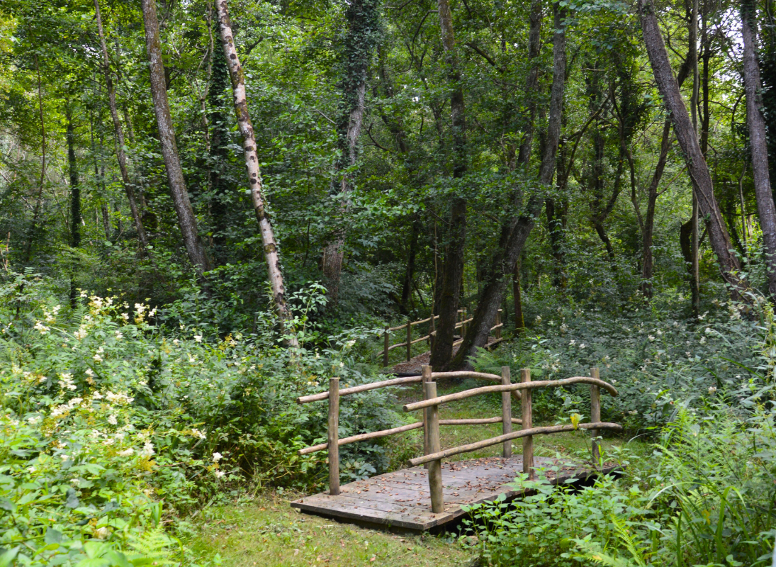 Sentier Musical, Pageas - photo 2