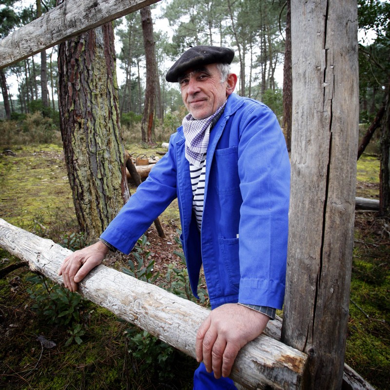 Visite du Sentier des résiniers