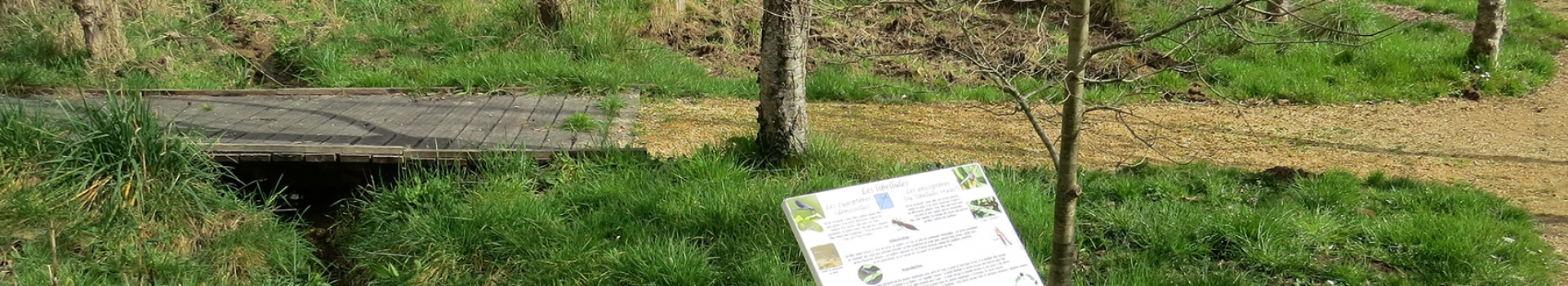Sentier de découverte de "la biodiversité ordinaire"