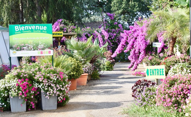 Les serres de Monplaisir