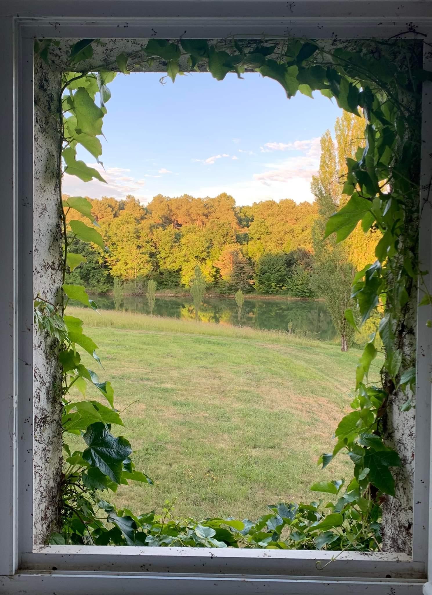 Domaine des Petites Minaudières, Senillé-Saint-Sauveur - photo 14