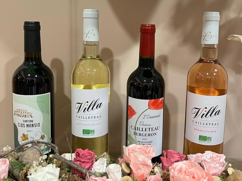 Château Cailleteau Bergeron - photo 4