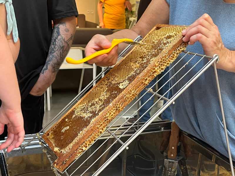 Fête du Miel à Terres d'Oiseaux - photo 4