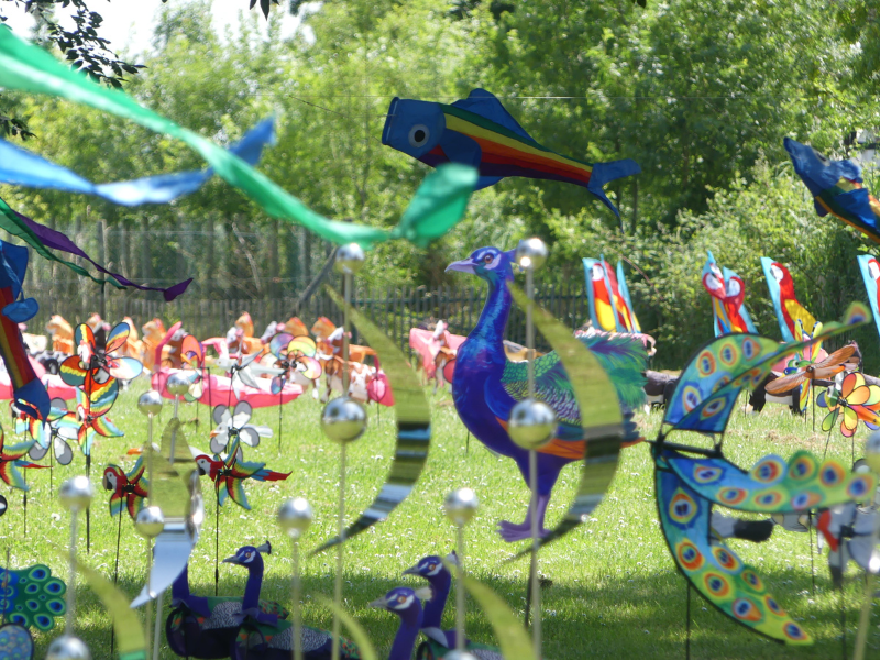 Fête du Vent à Terres d'Oiseaux, Braud-et-Saint-Louis - photo 6