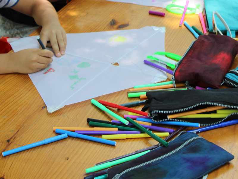 Fête du Vent à Terres d'Oiseaux - photo 2