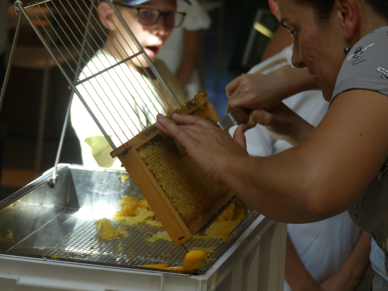 Fête du Miel à Terres d'Oiseaux - photo 2
