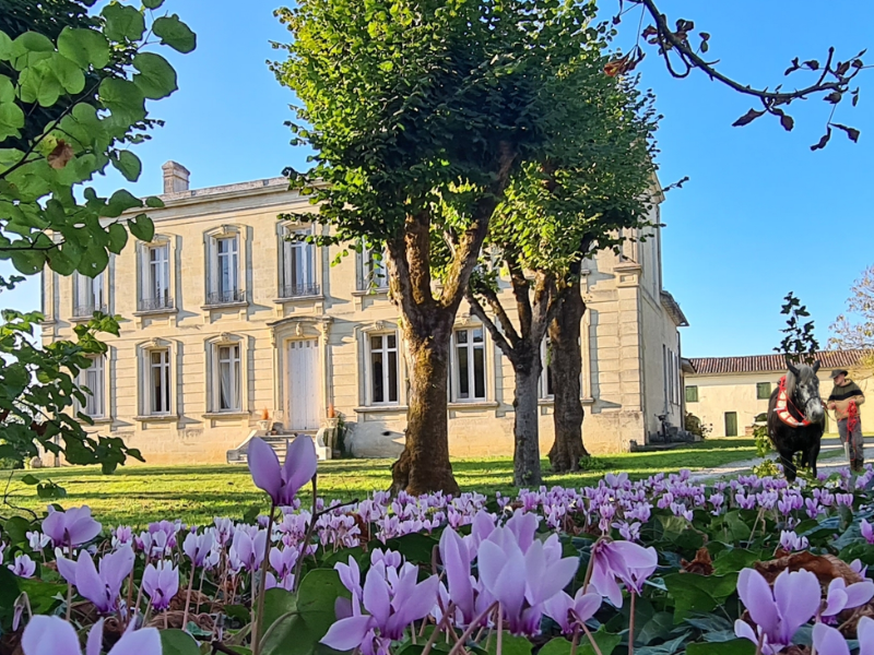Vignoble L'Homme Cheval — Producteurs & Artisans à Gironde