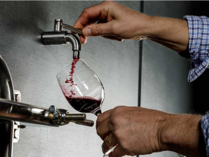 Château Cailleteau Bergeron - photo 2