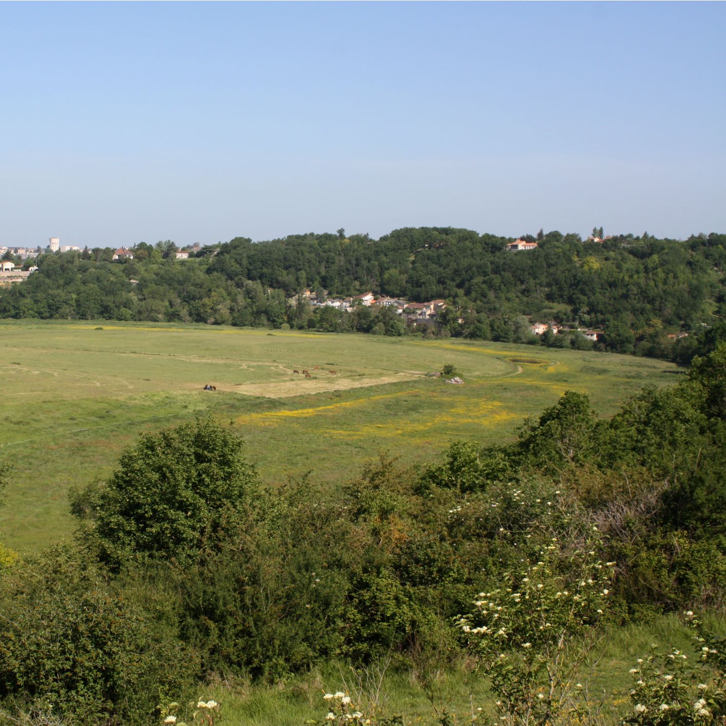 Le coteau et la prairie du Châtelier
