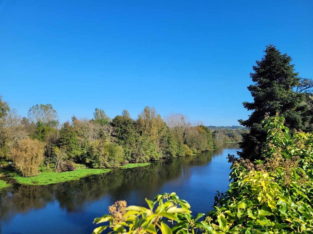 Site de l'église - expositions Sourzac, Sourzac - photo 22