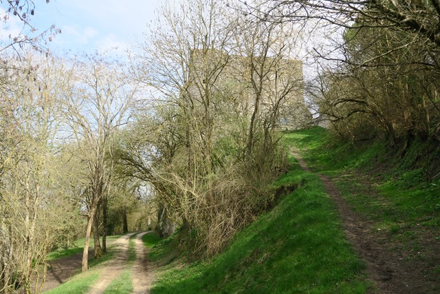 Tèrra Aventura - C'est qui les molasses ? Pas nous ! - photo 3