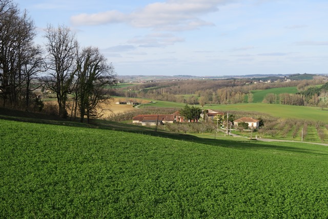 Tèrra Aventura - C'est qui les molasses ? Pas nous ! - photo 5