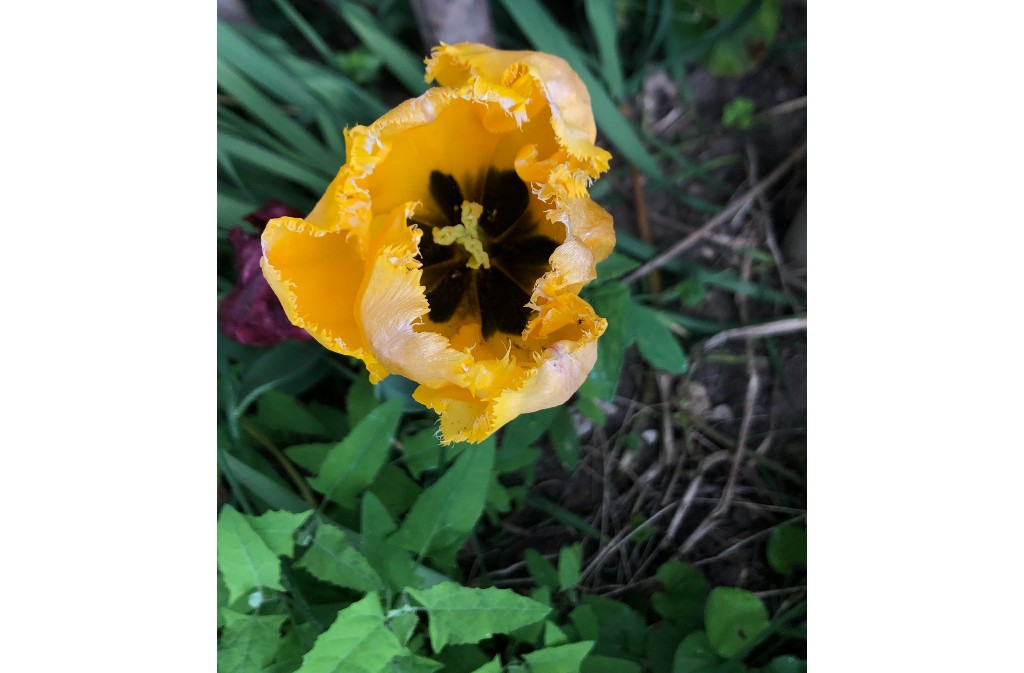 Sobriété Heureuse, Eymet - photo 5