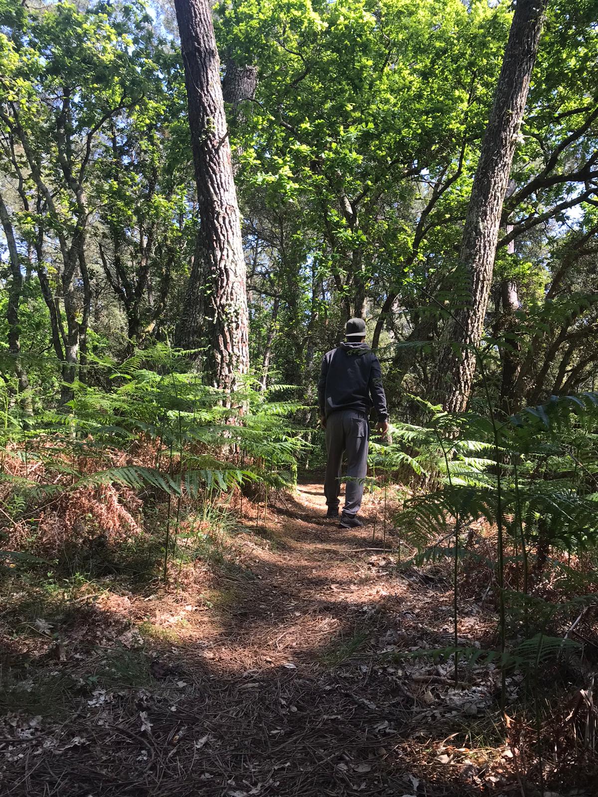 Bain de forêt