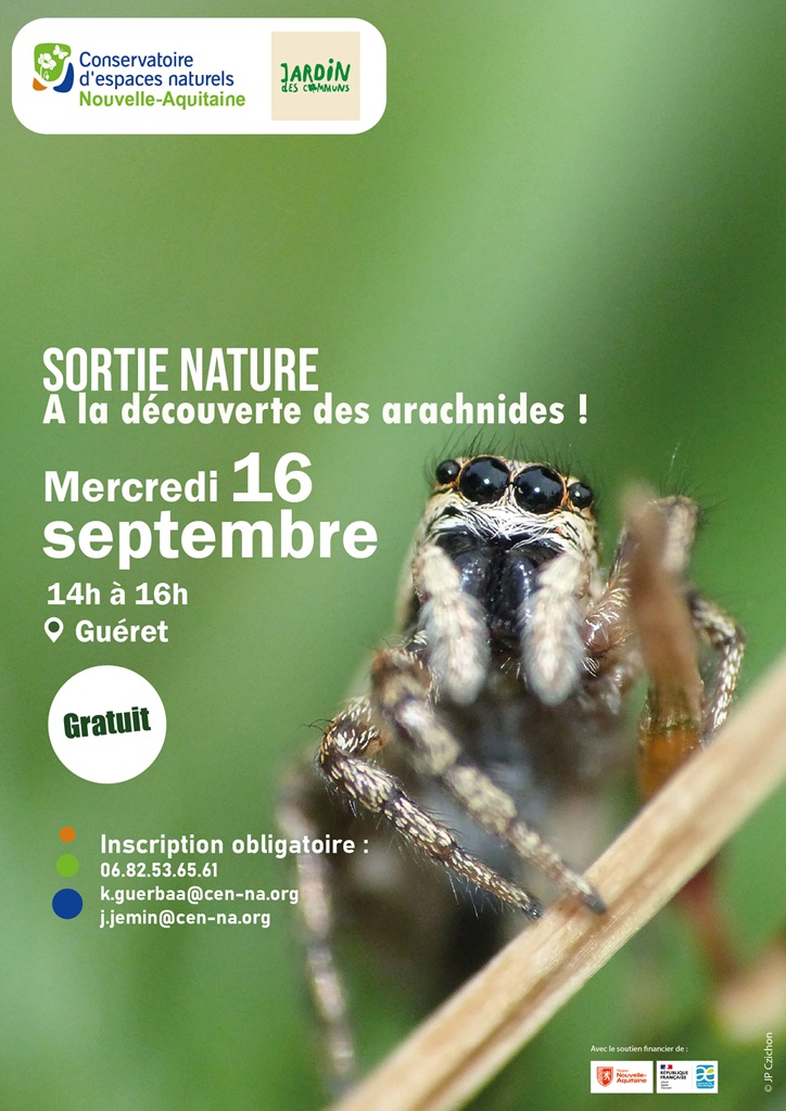 Animation nature : A la découverte des archnides !