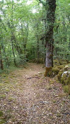 Boucle équestre des Bories à Tourtoirac, Tourtoirac - photo 2