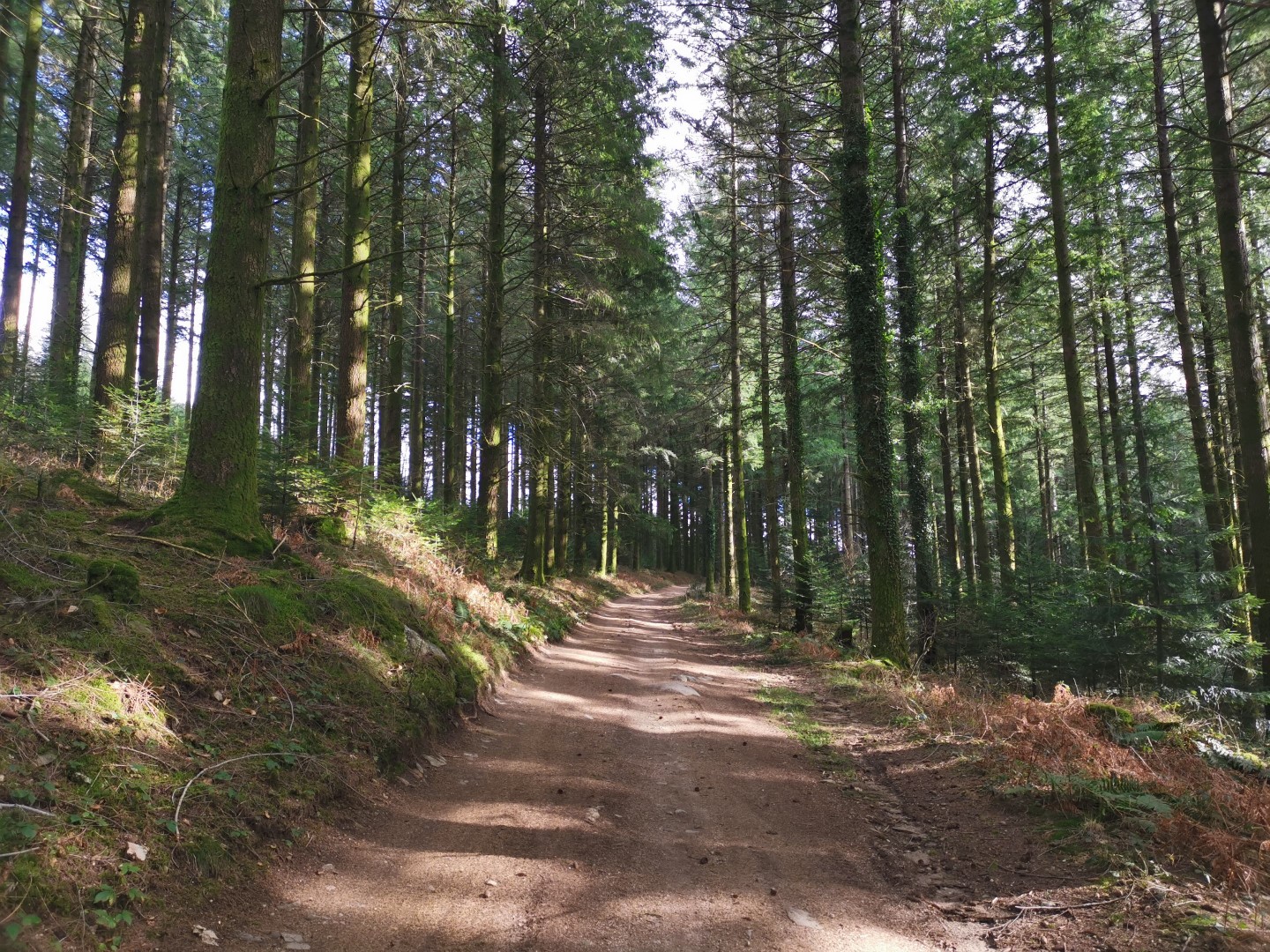 Circuit Pédestre N°57 : "Le Puy de Pétru", Saint-Pardoux-Morterolles - photo 4