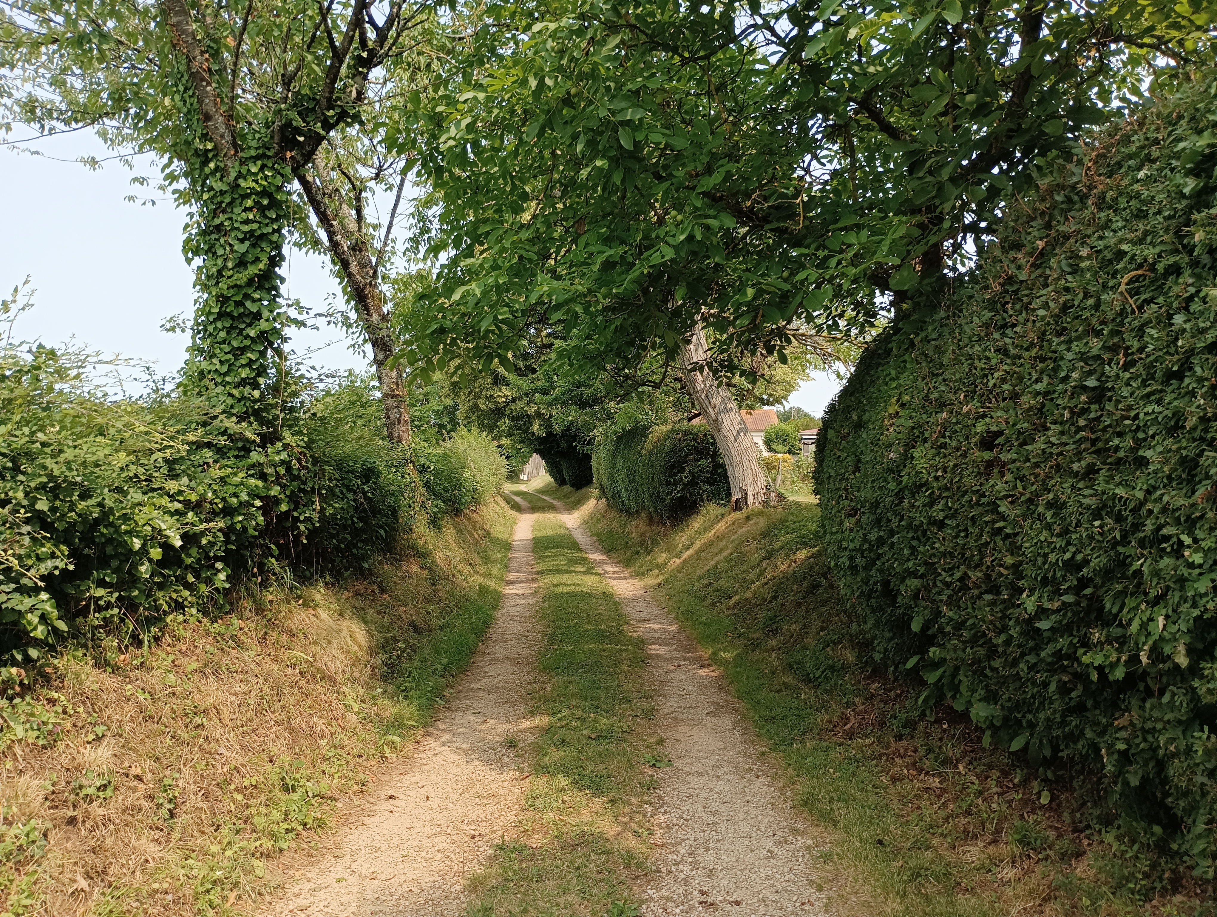 Les Bois de la Garde - Melle