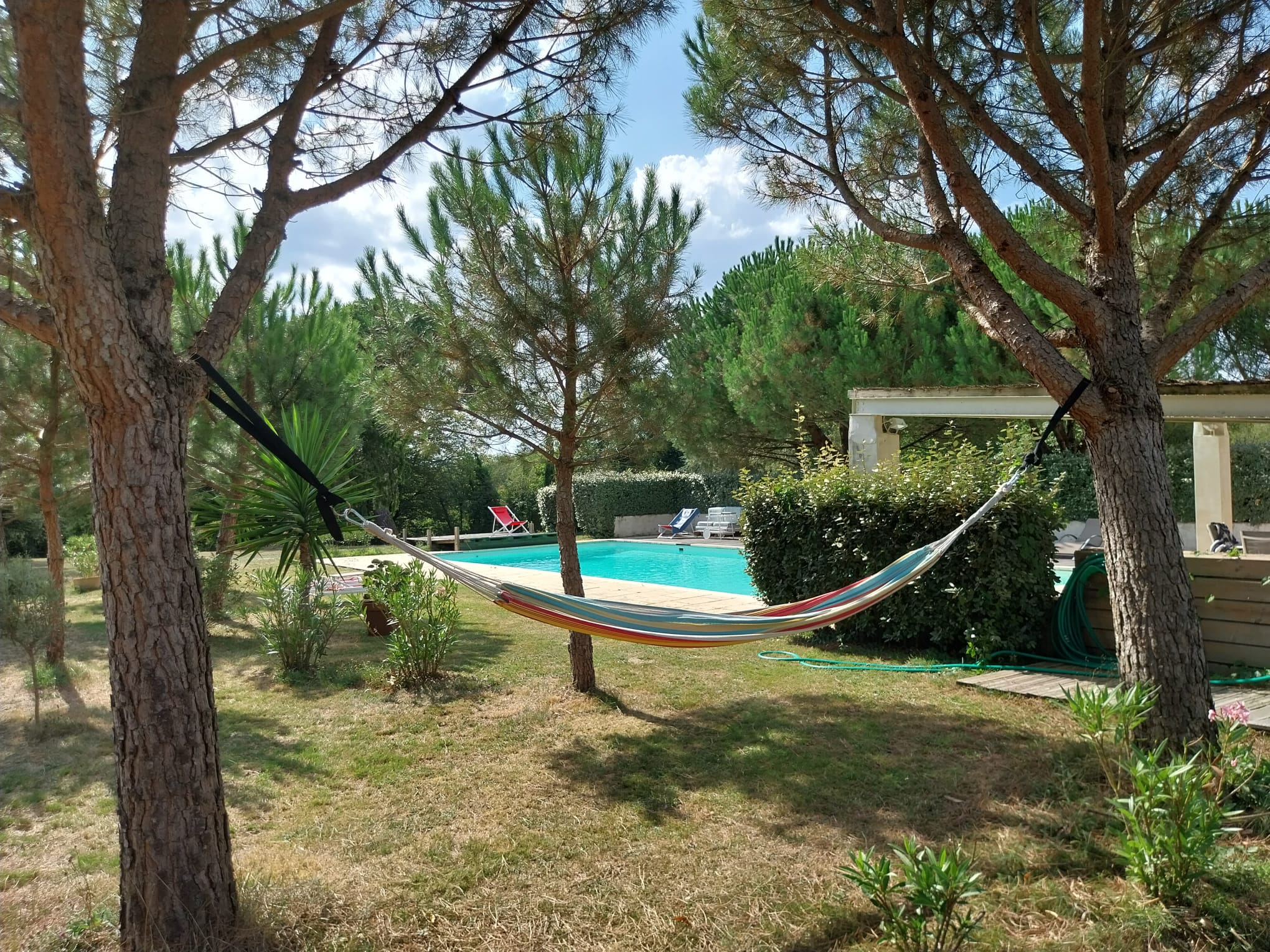 Domaine d'Ancia, Anché - photo 10