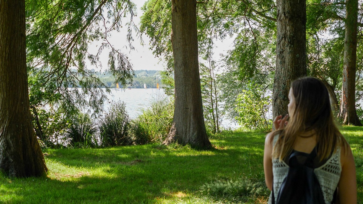 La pointe des vergnes, Soustons - photo 6