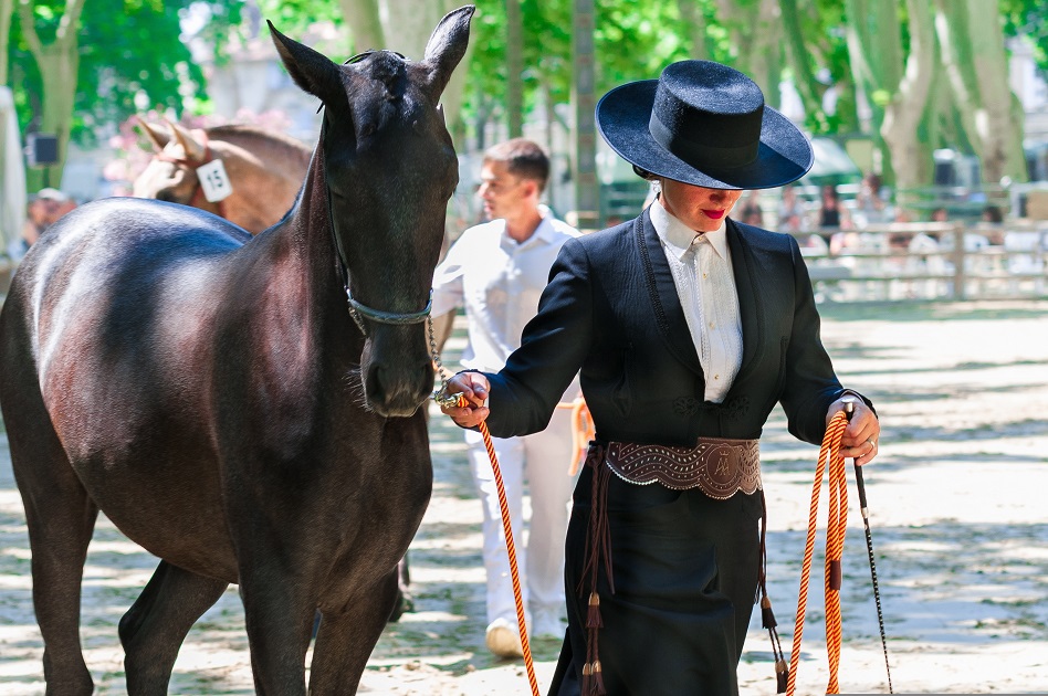 Spectacle équestre (Jardins de la Guierle) — visuel événement