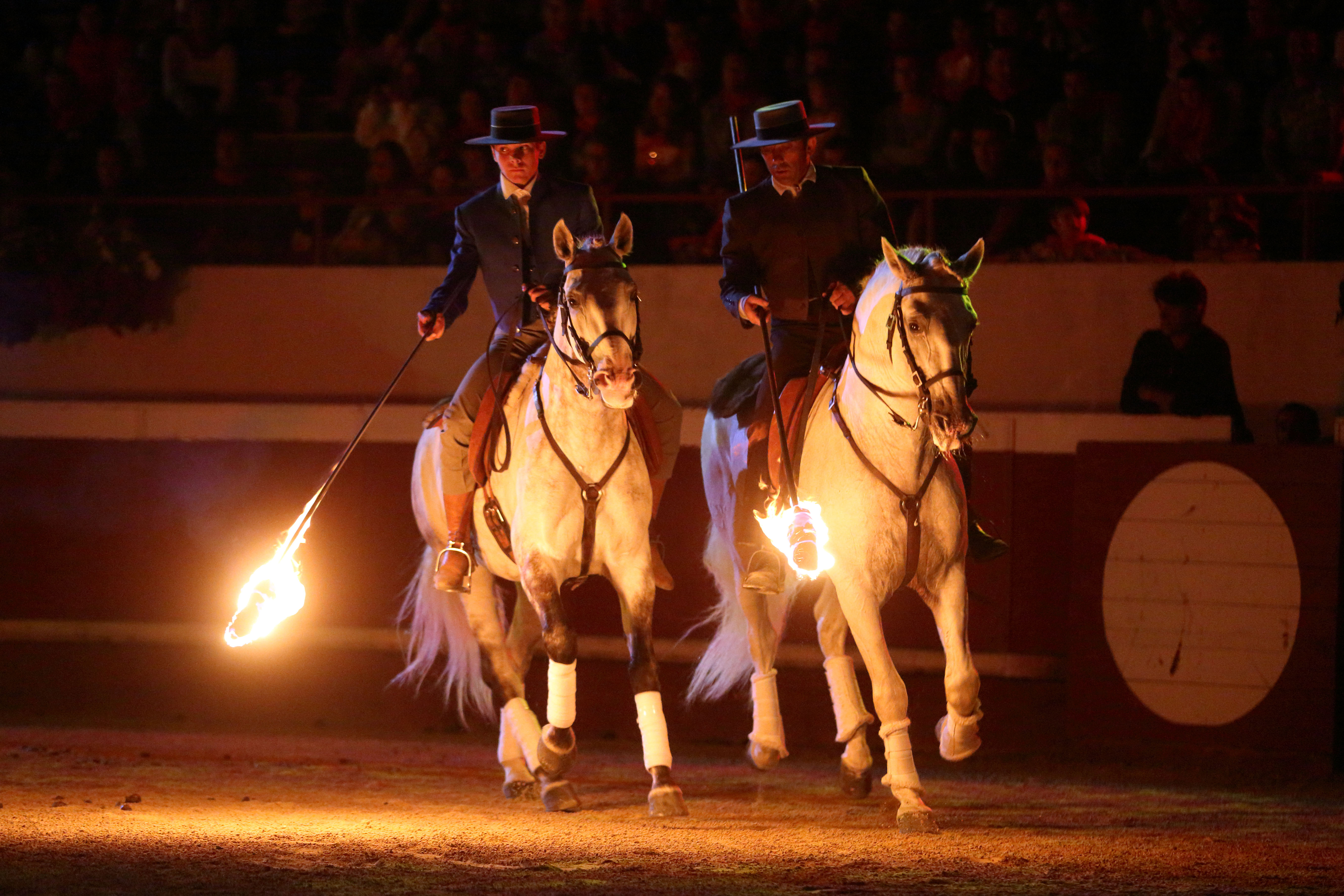 Spectacle Landes Emotions, Parentis-en-Born - photo 16