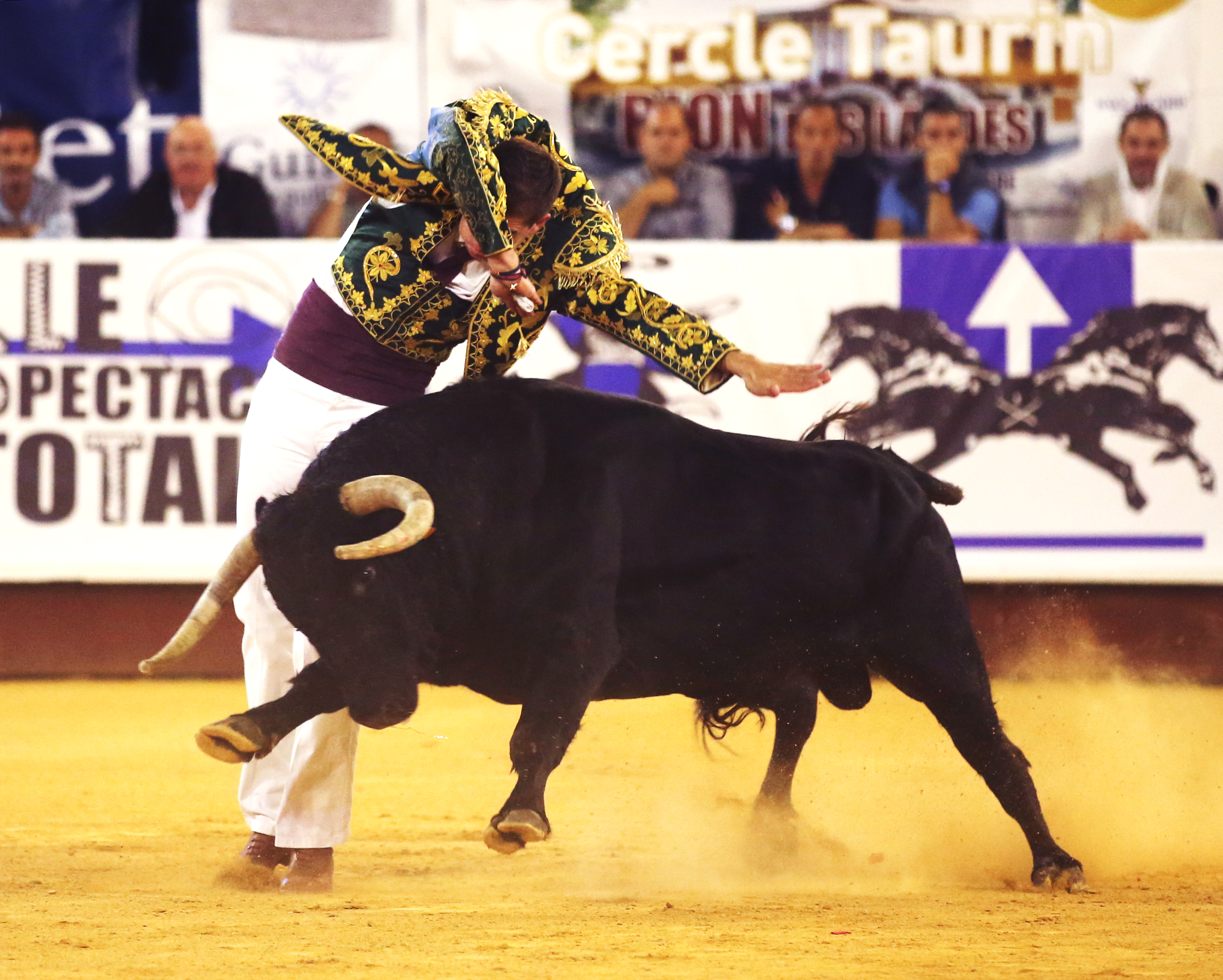 Spectacle Landes Emotions, Parentis-en-Born - photo 3