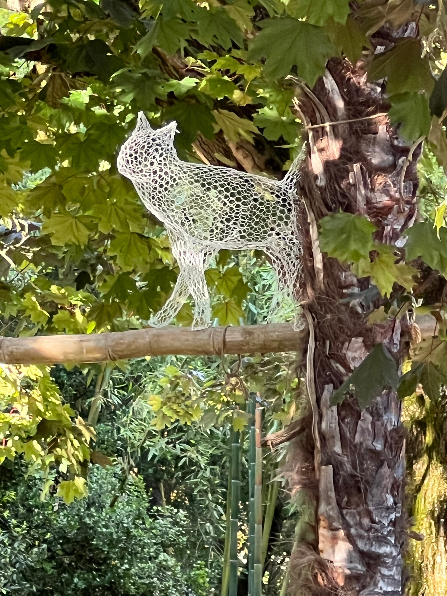 Cabinet de curiosités Latour-Marliac, Le Temple-sur-Lot - photo 4