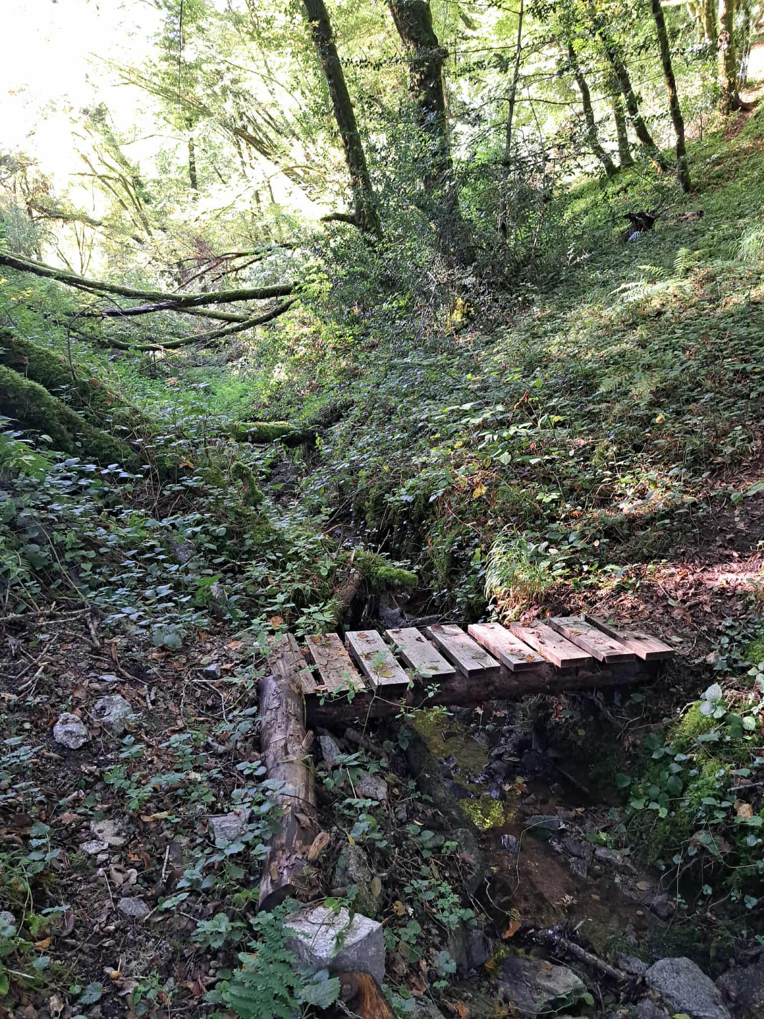 Sentier d'interprétation — photo 2