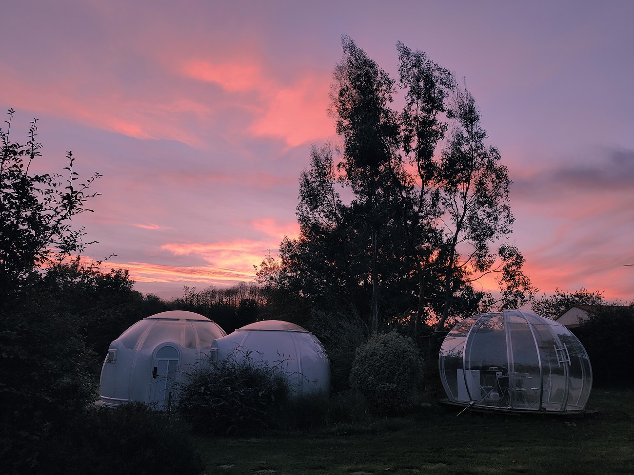 Les Bulles d'O, Saint-André-sur-Sèvre - photo 10