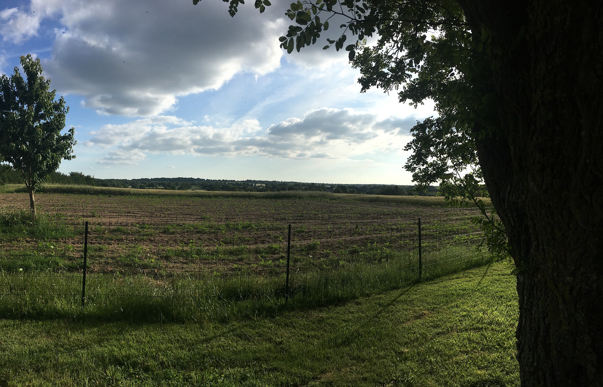 Gîte Chez Juliette, Mauléon - photo 4